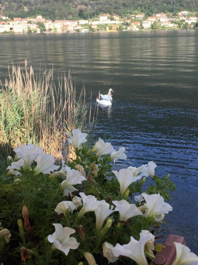 La Casa Dei Cigni Sul Lago D'Orta Omegna Exteriör bild